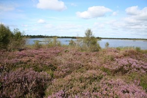 Turraun-Wetland 